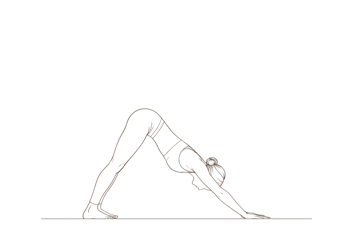 Downward-Facing Dog, also called Parvatasana, Mountain Pose (Adho Mukha Svanasana): line drawing