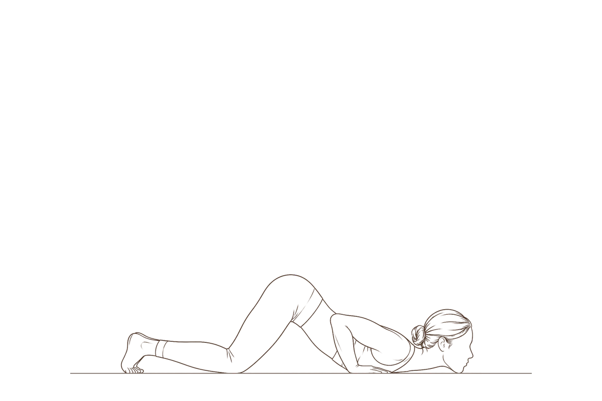 Eight Limbs Pose (Ashtangasana): line drawing