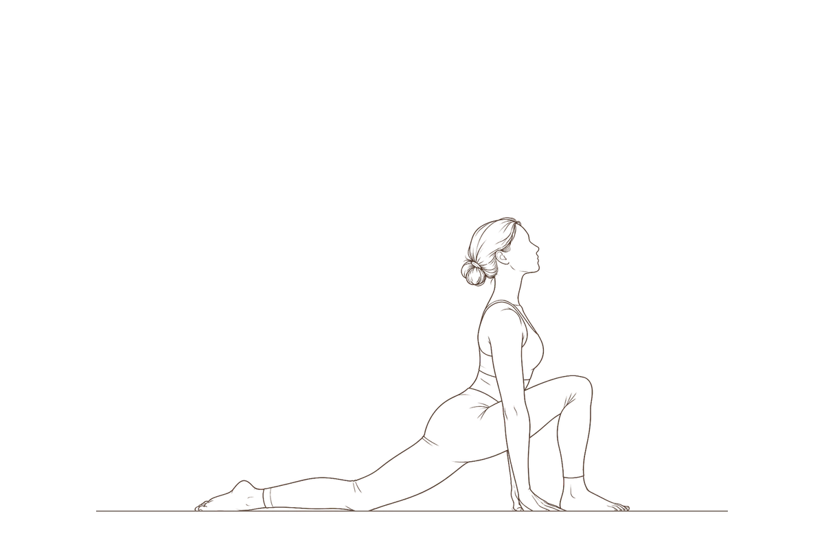 Equestrian Pose (Ashwa Sanchalanasana): line drawing