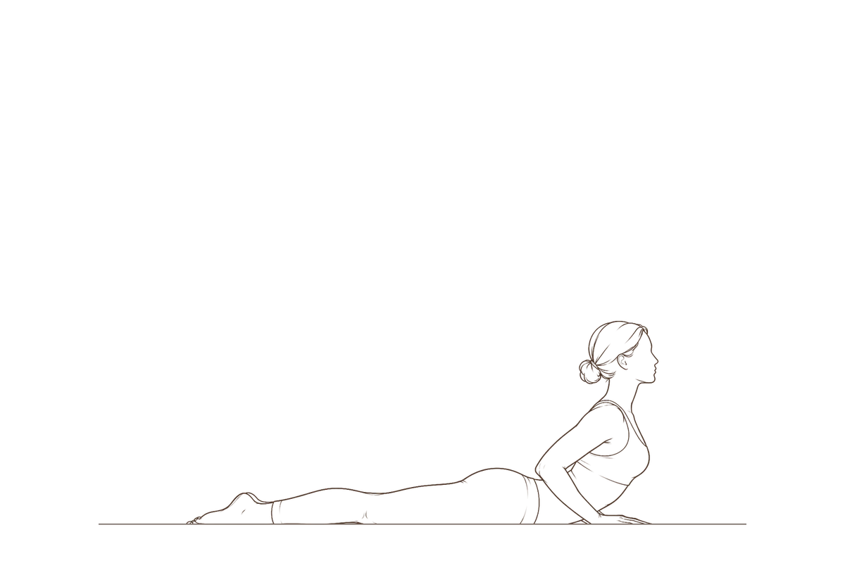 Cobra Pose (Bhujangasana): line drawing