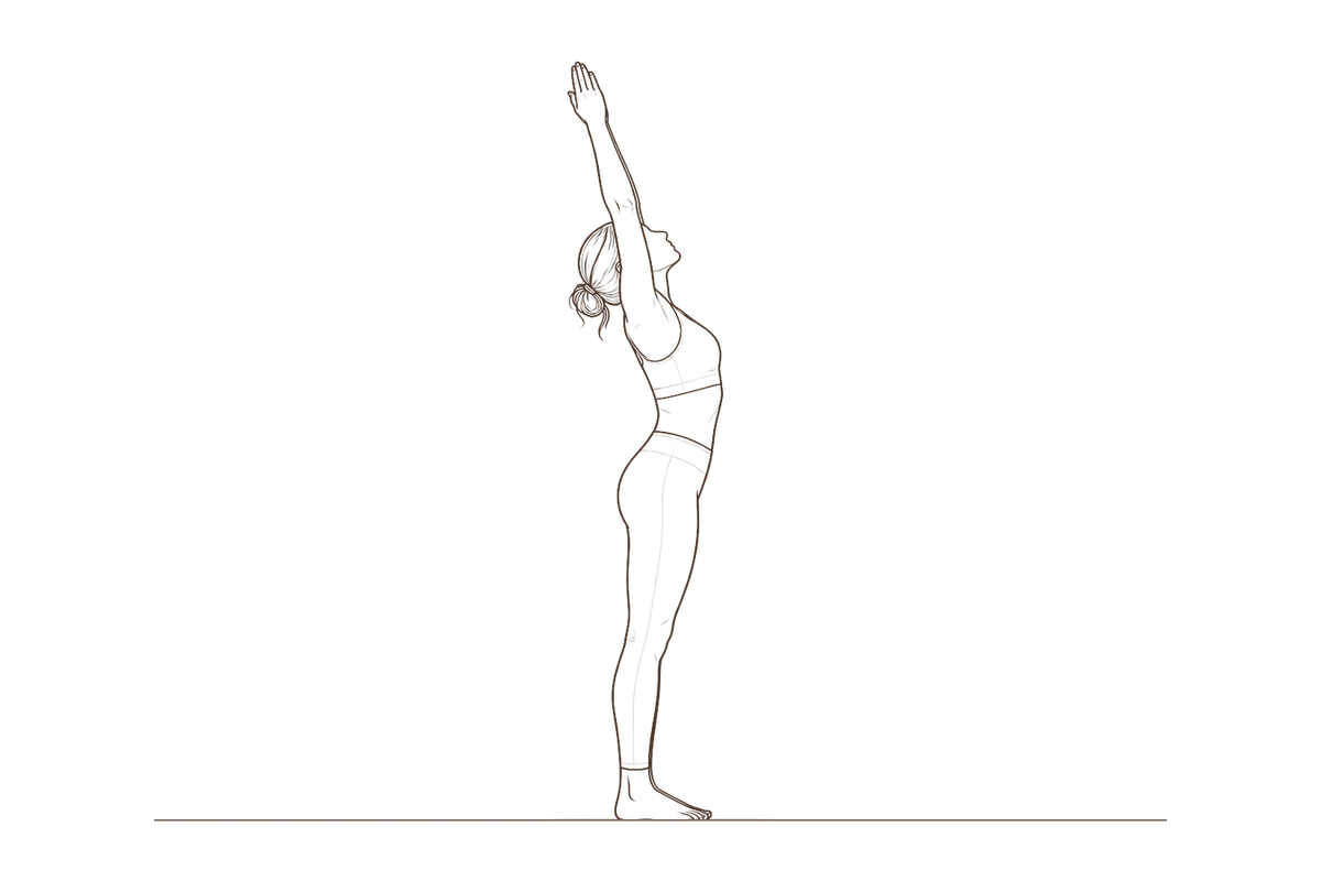 Raised Arms Pose (Hasta Utthanasana): line drawing