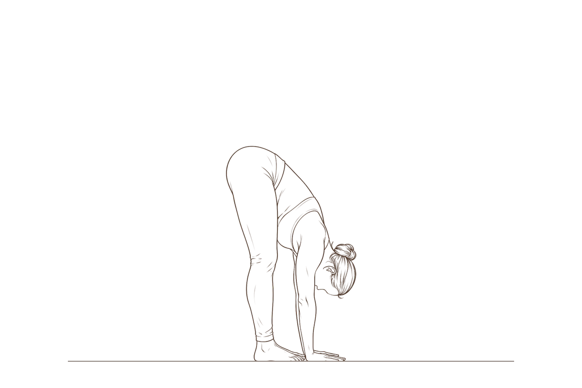 Hand to Foot Pose (Padahastasana): line drawing