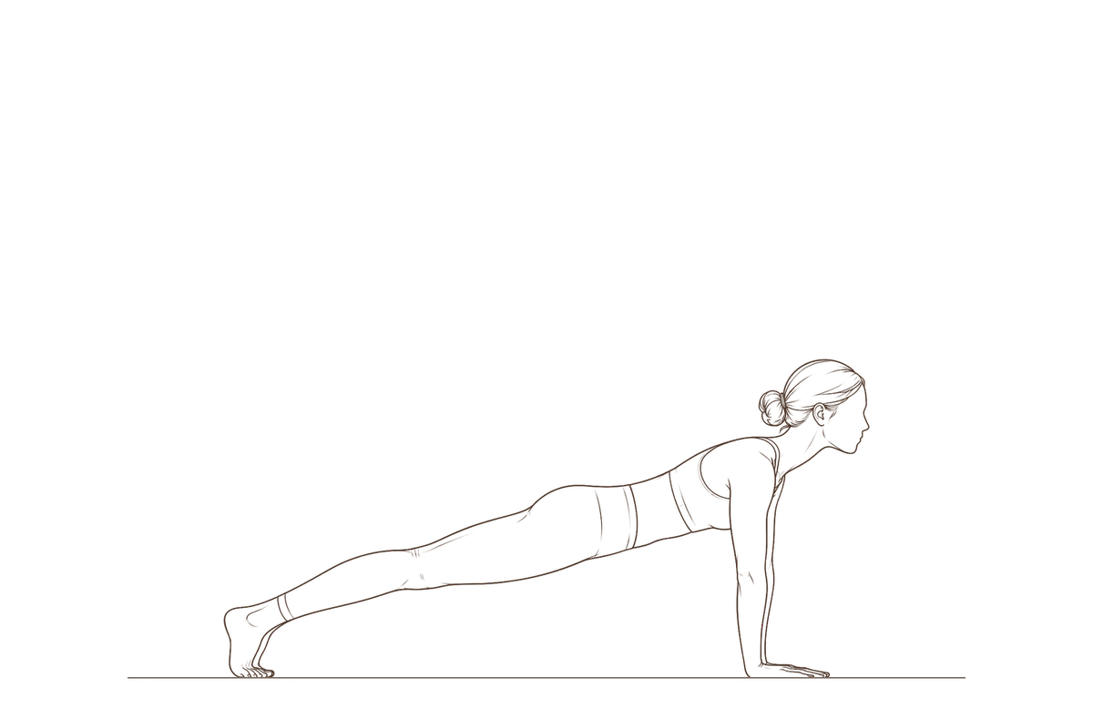 Plank Pose (Phalakasana): line drawing