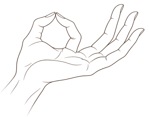 Chin mudra: left hand, palm up, thumb and index fingertips touching, other fingers relaxed