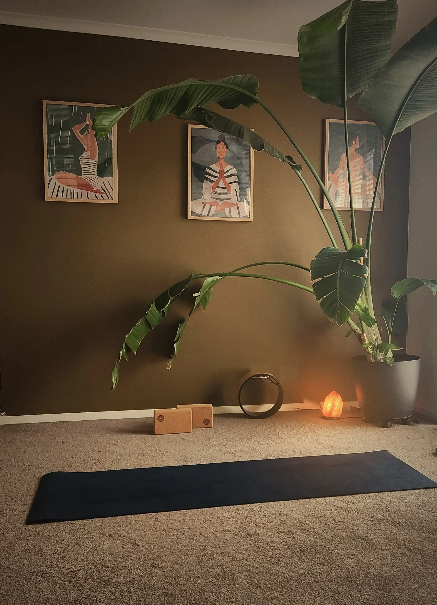 Carla's practice room: an olive wall, a tall bird of paradise plant, cork blocks, a glowing salt lamp and the navy mat.